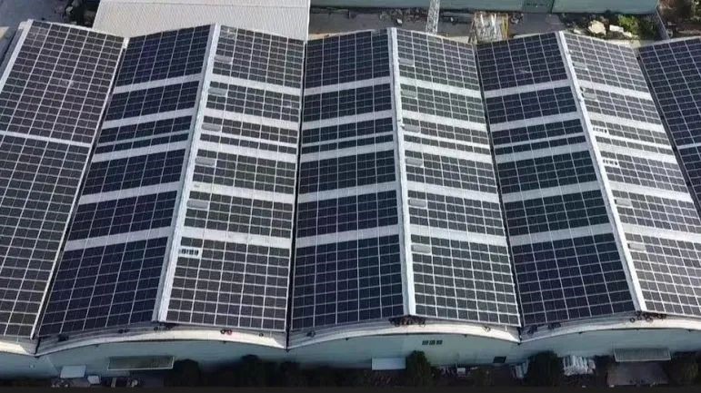 /uploads/image/2025/03/10/kingwills-20250303-3.jpg kingwills-20250303-3.jpg