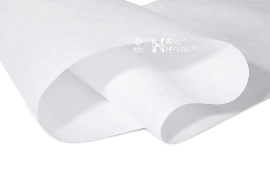 /uploads/image/2025/12/16/kingwills-20251105-7.jpg kingwills-20251105-7.jpg