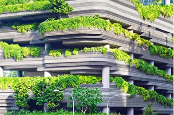 Shanghai Released A New Policy On Construction To Build A Green Future