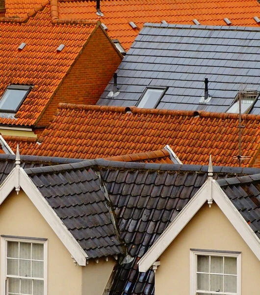 Metal & Tile Roof