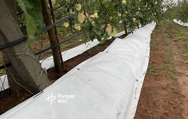 Flashspun Hypak™ for Agricultural Film Mulching