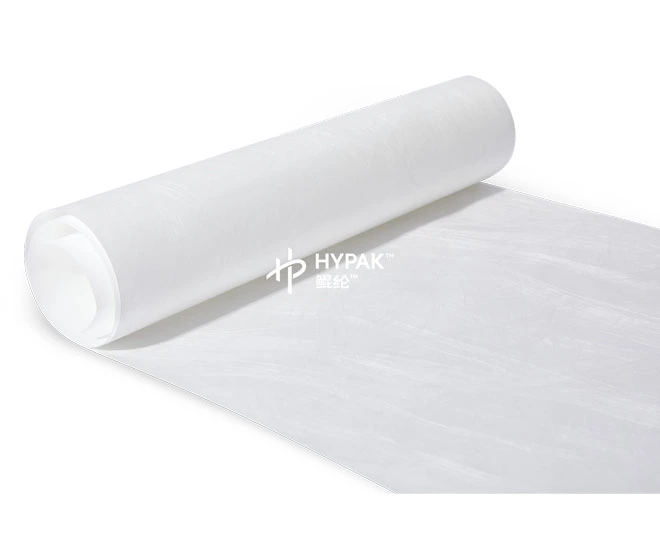 Recyclable Hypak Envelopes