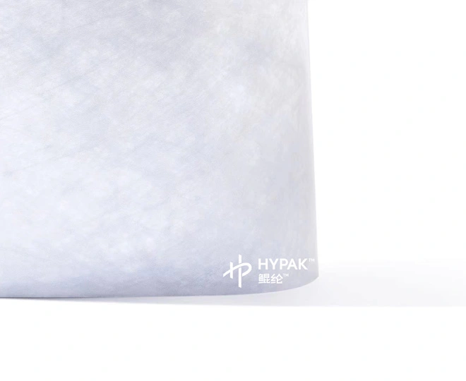 Recyclable Hypak Envelopes