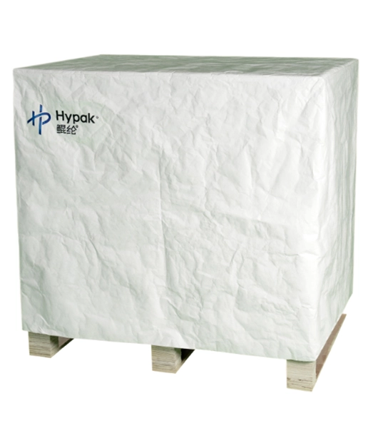 Flashspun Hypak™ for Eco Friendly Personalized Shipping Envelopes Packaging