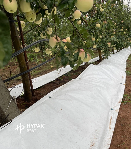 Flashspun Hypak™ for Agricultural Mulch Film